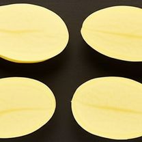 Image Step 03
